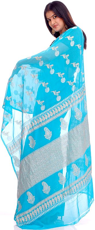 Sky-Blue Sari with Silver and Golden Zari