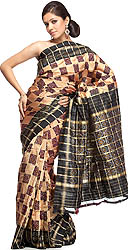 Golden Pochampalli Sari with Black Pallau