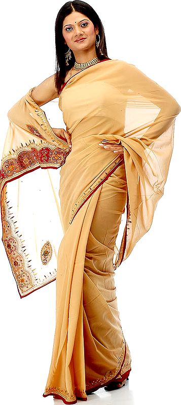 Tan Colored Embroidered Sari with Mirrors on Pallu