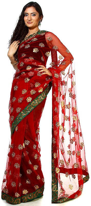 Tango-Red See-Through Sari with Embroidered Sequins and Patch Border