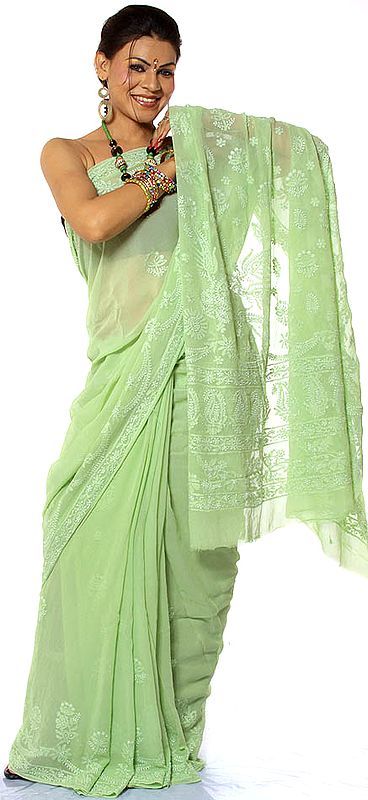 Tea-Green Lukhnavi Chikan Sari with All-Over Embroidery by Hand
