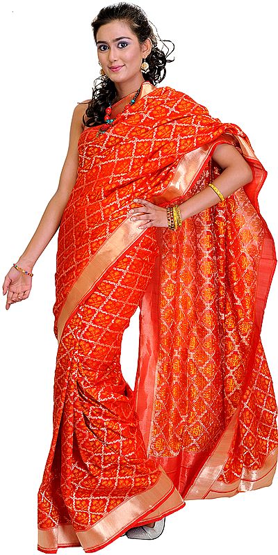 Tomato-Red Banarasi Sari with Woven Paisleys in Golden Thread