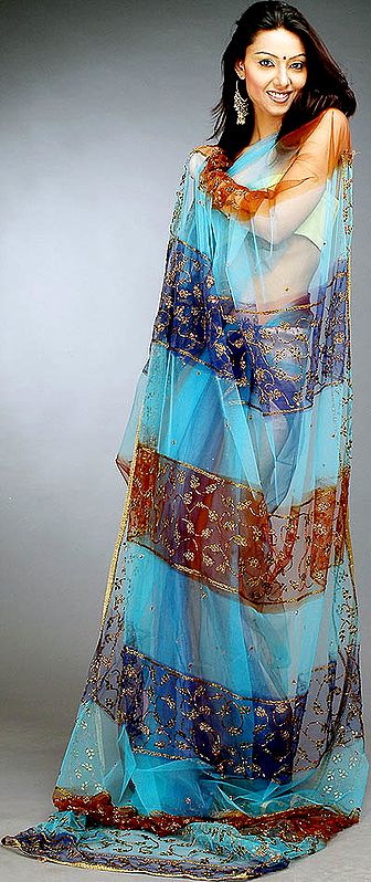 Tri-Color See-Through Sari with Beads and Threadwork