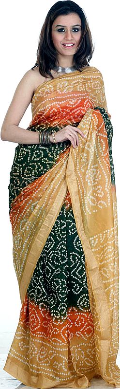 Tri-Color Shaded Bandhani Sari from Gujarat