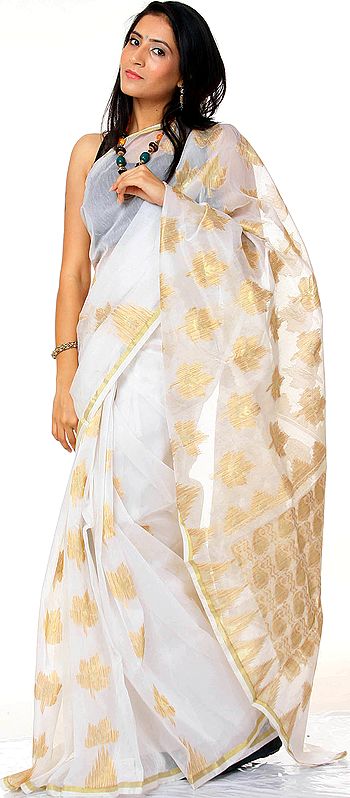 White Banarasi Sari with Golden Leaves Woven All-Over