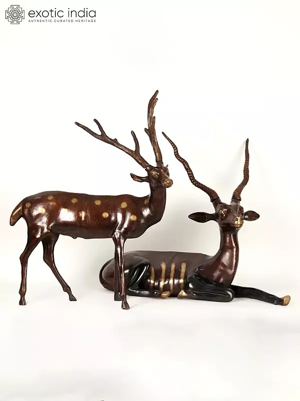 34" Large Pair of Deer and Antelope | Brass Statue