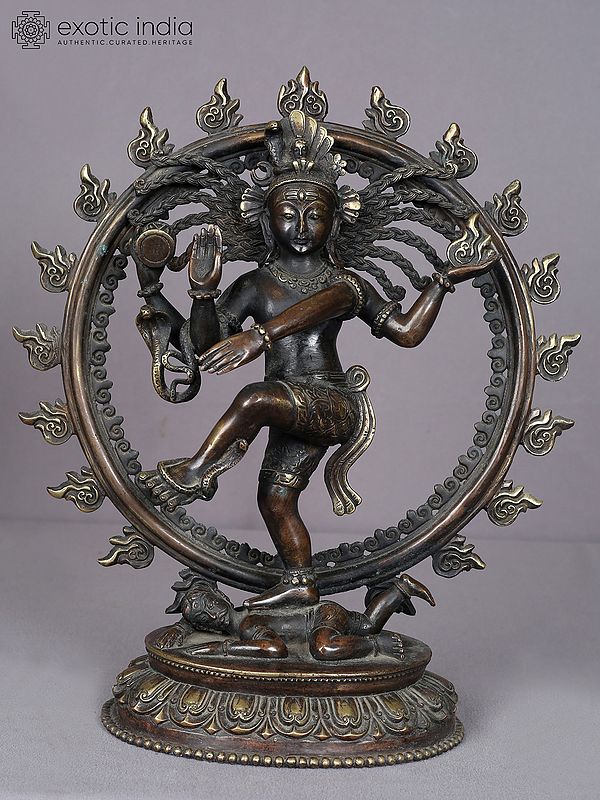 13" Dancing Lord Nataraja Brass Sculpture from Nepal