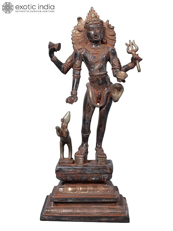 14" Bhairava Shiva in Brass