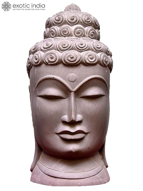 12" Gautama Buddha Head