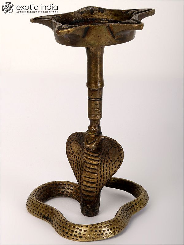 6"  Tribal Five Wicks Lamp on Snake | Brass