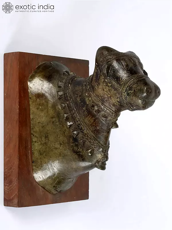 7" Bronze Nandi Bust Wall Hanging
