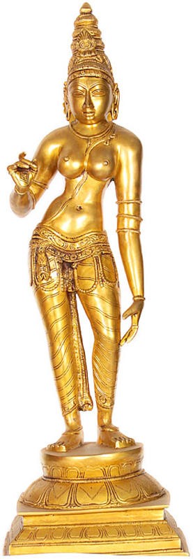 Parvati The Elegant and Graceful Goddess
