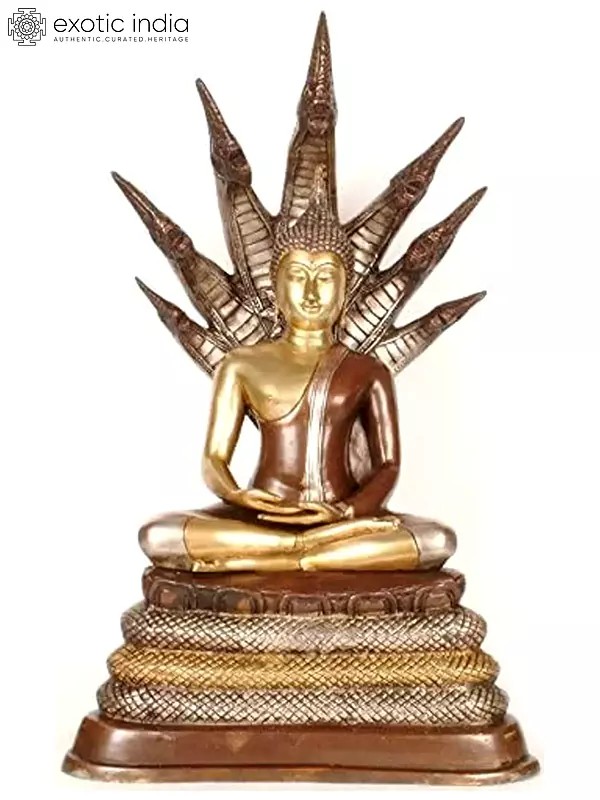 21" Buddha Under Serpent Muchalinda