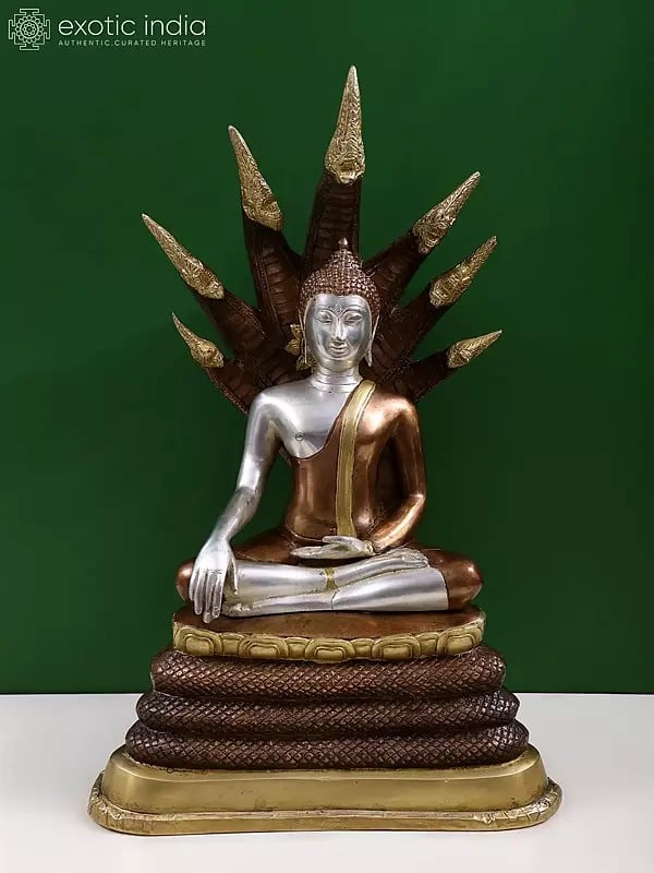 21" Buddha Under Serpent Muchalinda