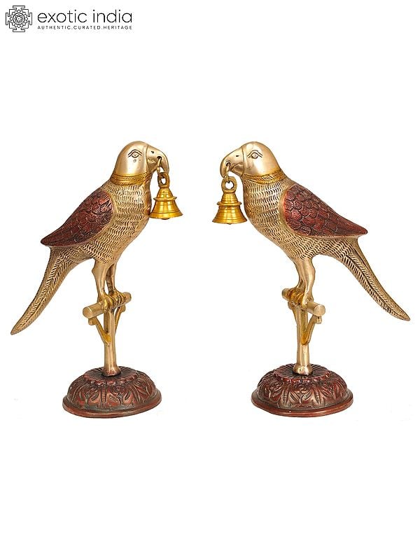 9" Pair of Parrots with Bell in Brass | Handmade | Made in India