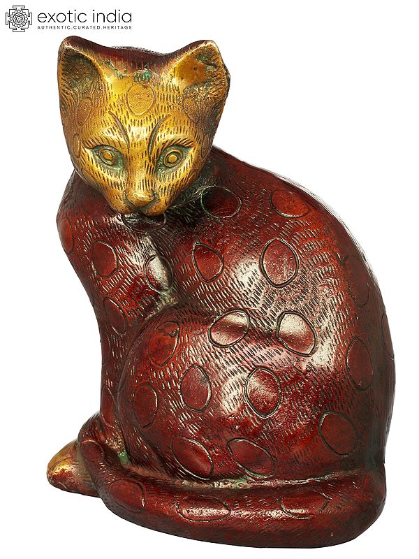 8" Cat In Brass | Handmade | Made In India