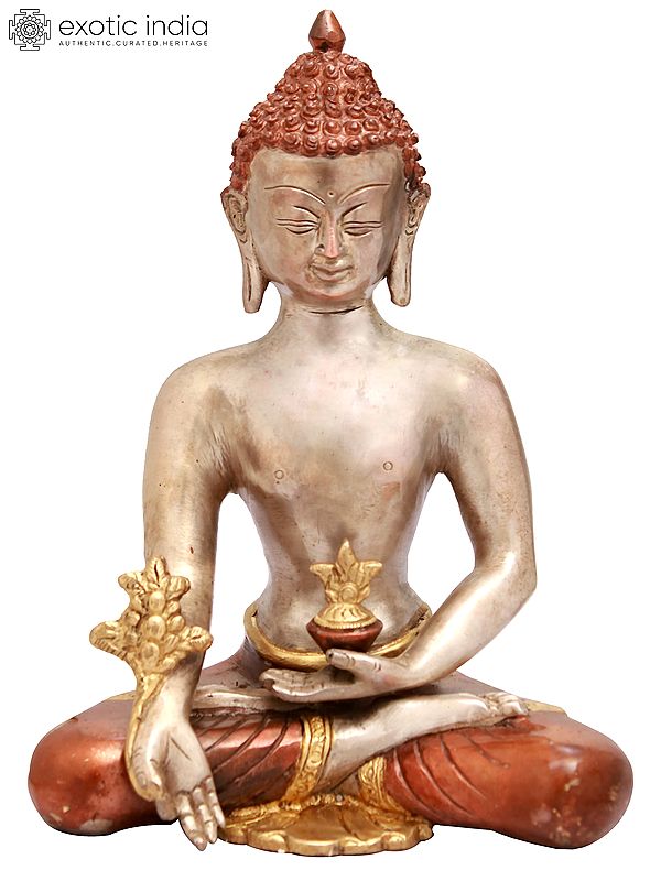 9" Tibetan Buddhist Medicine Buddha In Brass
