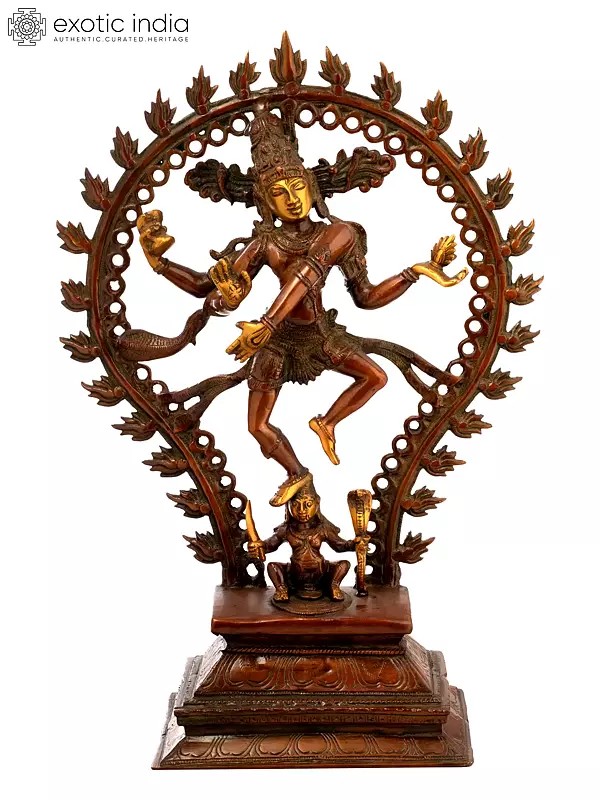 19" Nataraja Full of Life, His Figure Framed By A Ringed Aureole In Brass | Handmade | Made In India