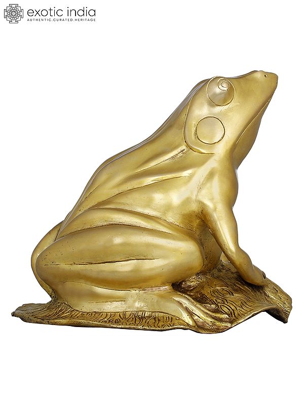 8" Feng Shui Frog In Brass | Handmade | Made In India