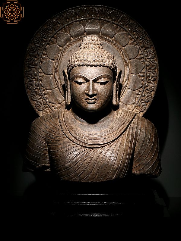 23" Black Stone Shakyamuni Buddha Bust on Wooden Base