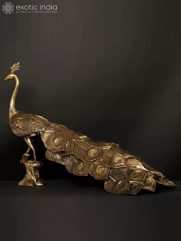 36" Large Peacock Figure in Brass