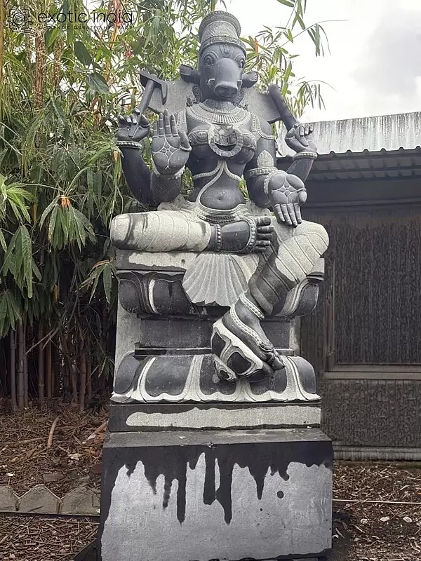 134" Large Goddess Varahi Hand Carved Stone Sculpture | Exquisite Indian Art
