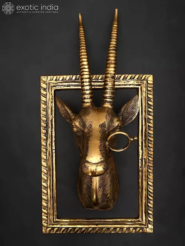 23" Brass Stylish Deer Head with Frame | Wall Hanging | Home Decor