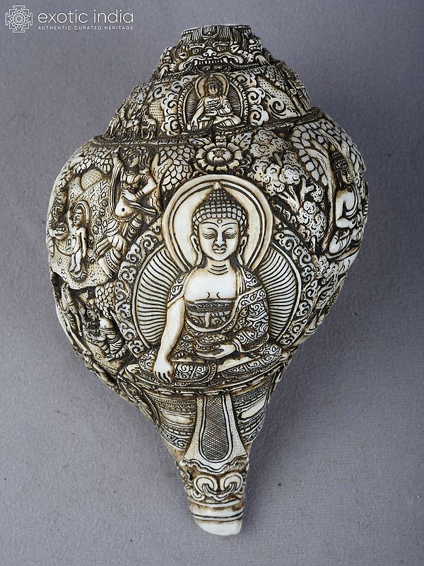 4" Carving Of Buddha'S Life On A Conch Shell From Nepal Hand Carved | Ritual Item