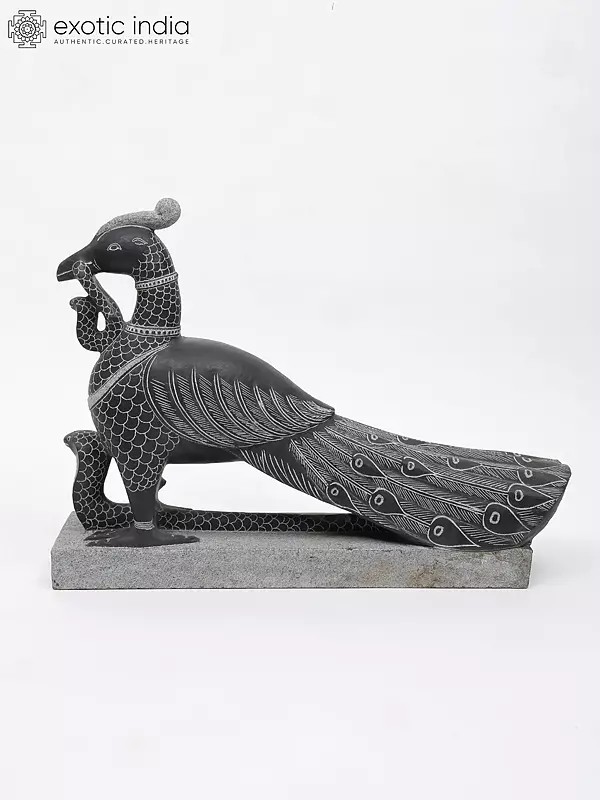 27" Attractive Peacock with Holding Snake | Black Granite Stone Sculpture