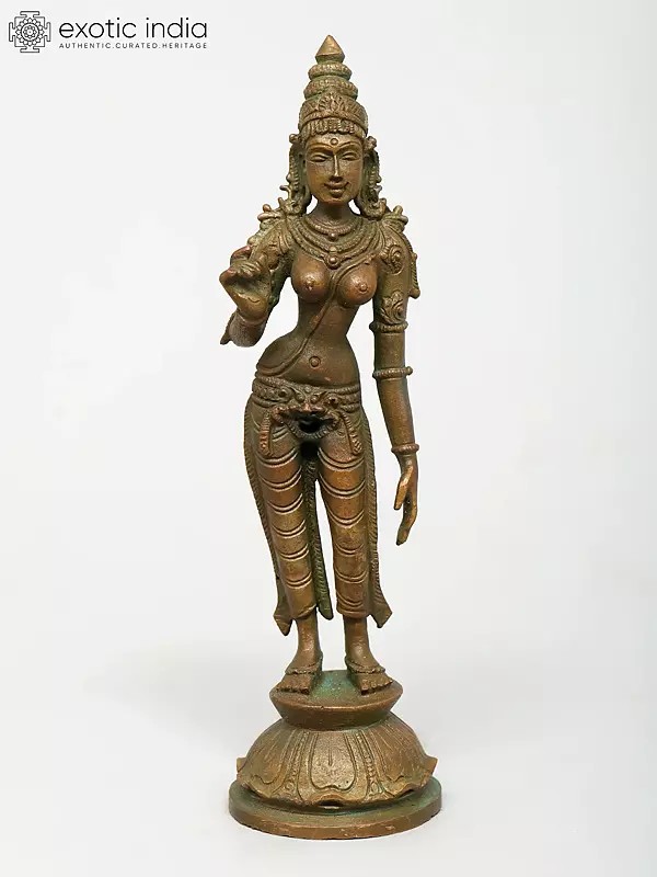 6" Small Standing Goddess Uma (Parvati) | Madhuchista Vidhana (Lost-Wax) | Panchaloha Bronze from Swamimalai