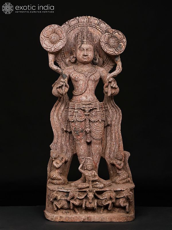 28" Lord Surya Holding Two Lotuses