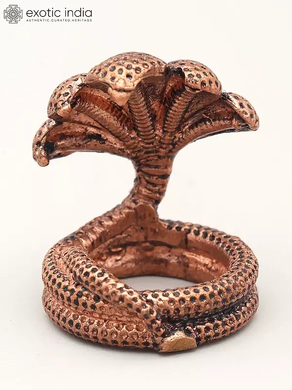 1" Small Five Hooded Serpent