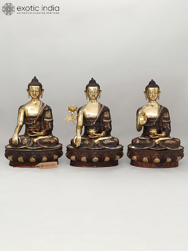 33" Large Set of Three Buddha - Buddha in Bhumisparsha Mudra, Medicine Buddha and Buddha in Vitark Mudra | Brass Statues
