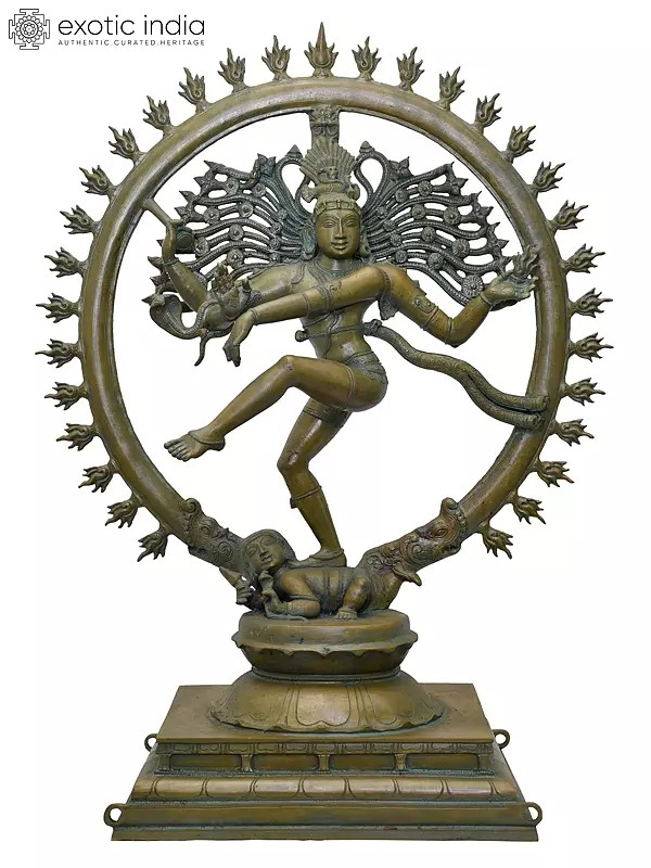 24" Nataraja (Dancing Lord Shiva) | Madhuchista Vidhana (Lost-Wax) | Panchaloha Bronze from Swamimalai