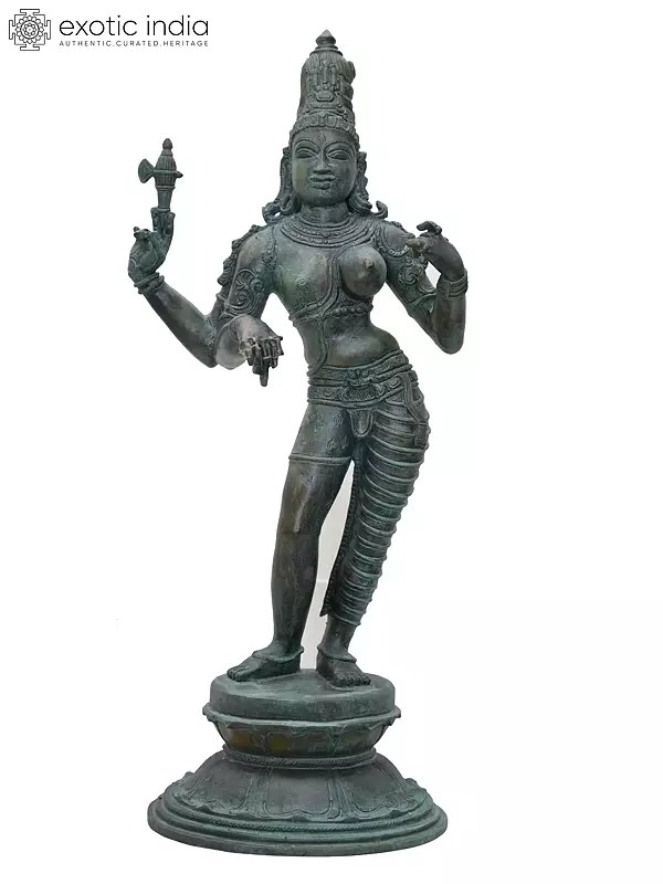 19" Ardhanarishvara - Divine Union of Shiva and Shakti | Madhuchista Vidhana (Lost-Wax) | Panchaloha Bronze from Swamimalai