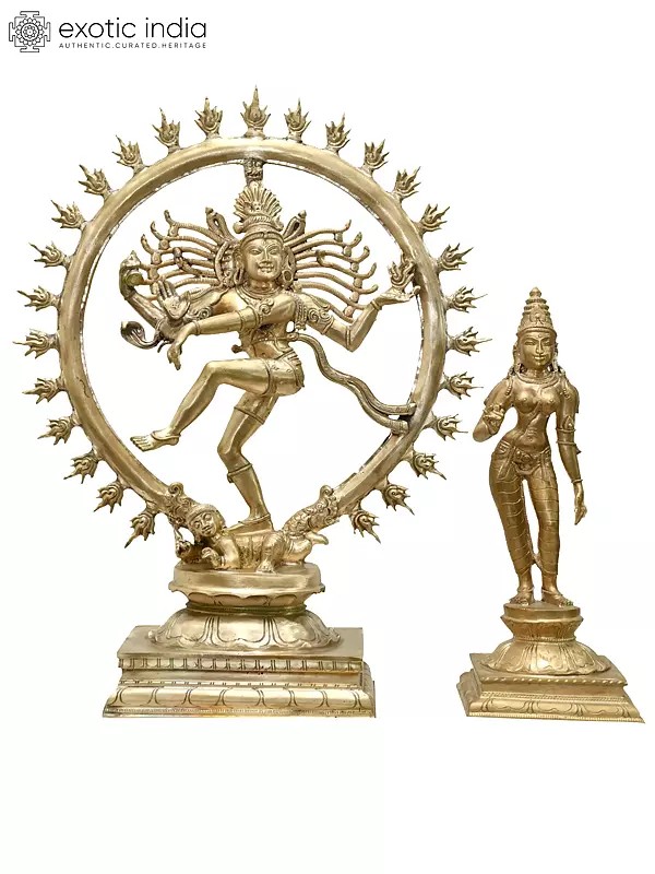 19" Lord Shiva as Nataraja with Devi Parvati | Madhuchista Vidhana (Lost-Wax) | Panchaloha Bronze from Swamimalai