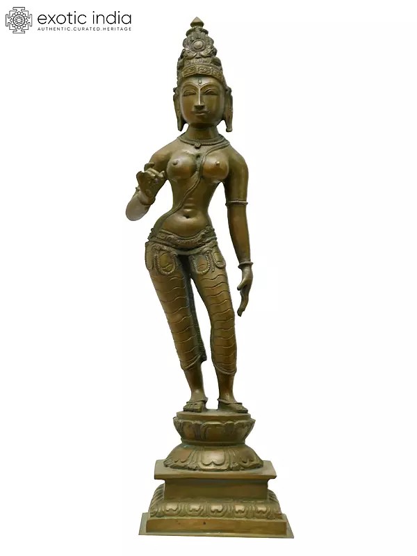 12" Standing Goddess Uma (Parvati) | Madhuchista Vidhana (Lost-Wax) | Panchaloha Bronze from Swamimalai