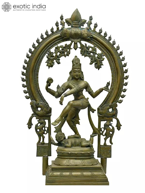 31" Large Nataraja with Arch | Madhuchista Vidhana (Lost-Wax) | Panchaloha Bronze from Swamimalai