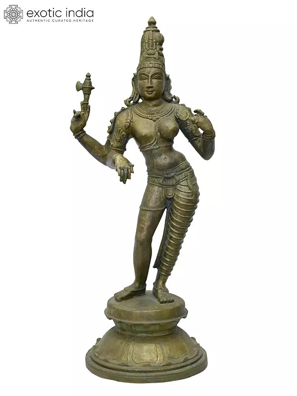 20" Standing Ardhanarishvara (Shiva-Shakti) | Madhuchista Vidhana (Lost-Wax) | Panchaloha Bronze from Swamimalai