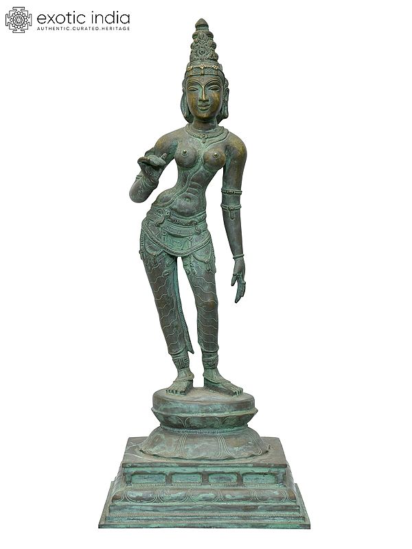 19" Standing Goddess Uma (Parvati) | Madhuchista Vidhana (Lost-Wax) | Panchaloha Bronze from Swamimalai