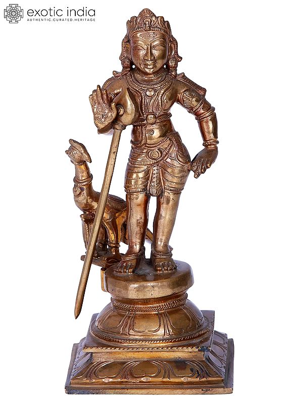 8'' Lord Murugan Sculpture Panchaloha Bronze from Swamimalai | Madhuchista Vidhana (Lost-Wax)