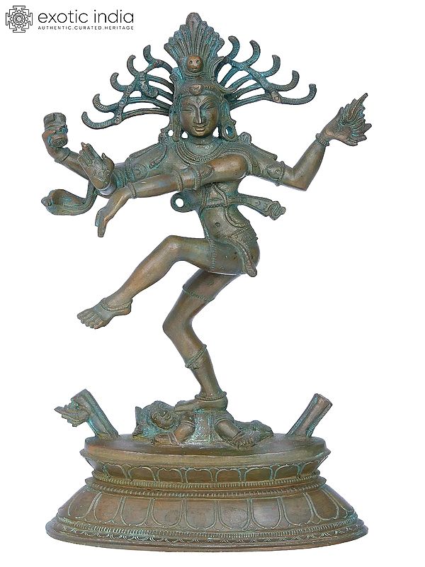 13'' Thiruvalangadu Nataraja Panchaloha Bronze Statue from Swamimalai | Madhuchista Vidhana (Lost-Wax)