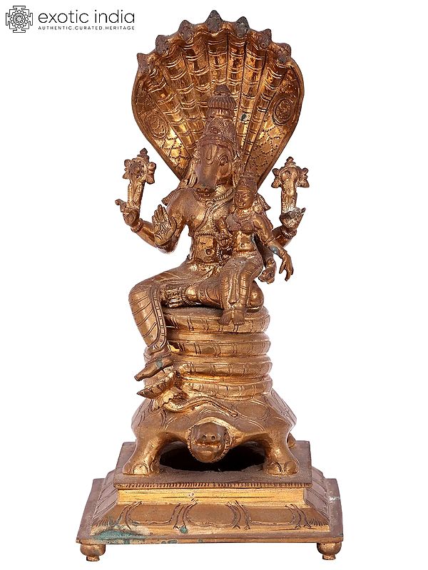 12'' Lord Varaha with Goddess Lakshmi | Madhuchista Vidhana (Lost-Wax) | Panchaloha Bronze from Swamimalai