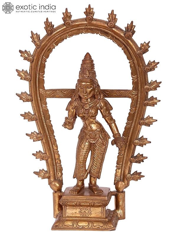 12'' Goddess Parvati | Madhuchista Vidhana (Lost-Wax) | Panchaloha Bronze from Swamimalai