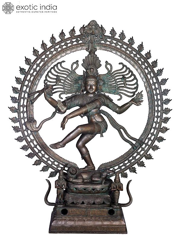 54'' Nataraja Panchaloha Bronze Statue from Swamimalai