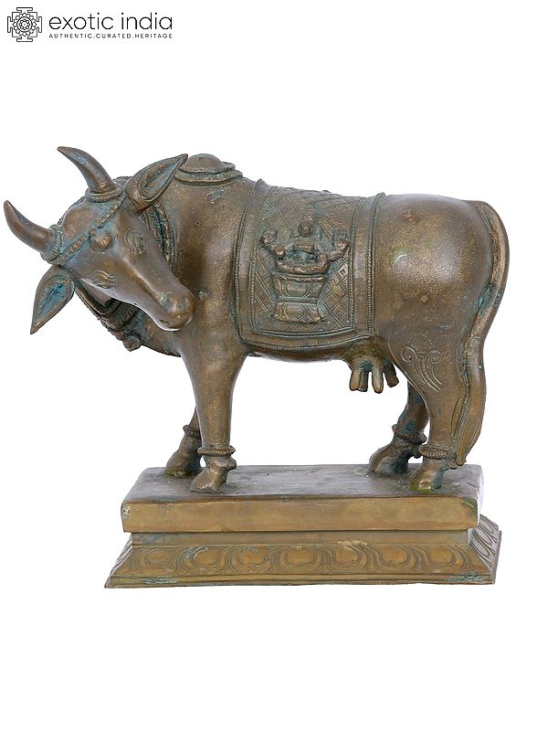 7'' Bronze Cow Statue | Madhuchista Vidhana (Lost-Wax) | Panchaloha Bronze from Swamimalai