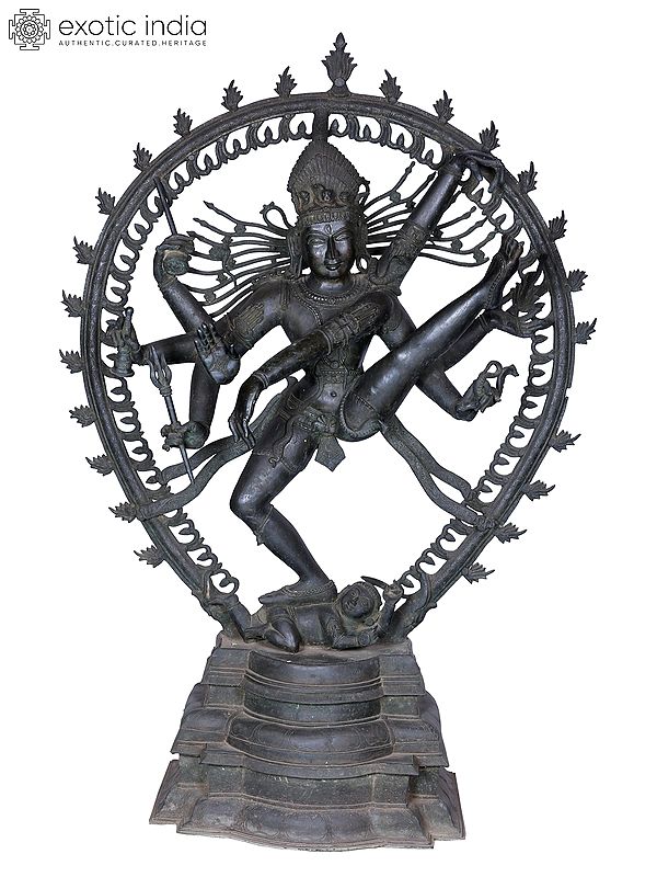 56'' Nataraja Panchaloha Bronze Statue from Swamimalai | Madhuchista Vidhana (Lost-Wax)