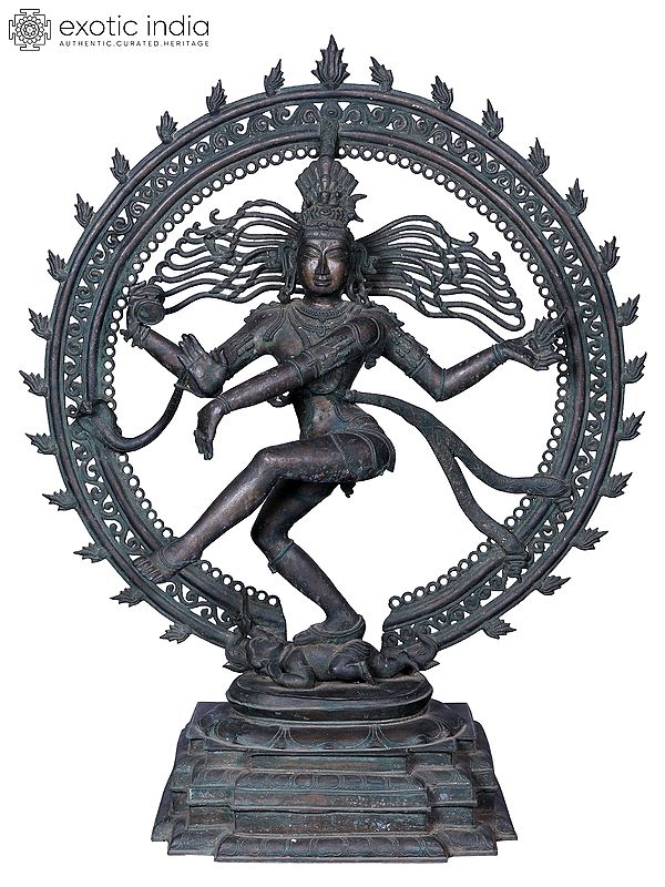 37'' Nataraja (Dancing Lord Shiva) Sculpture | Madhuchista Vidhana (Lost-Wax) | Panchaloha Bronze from Swamimalai