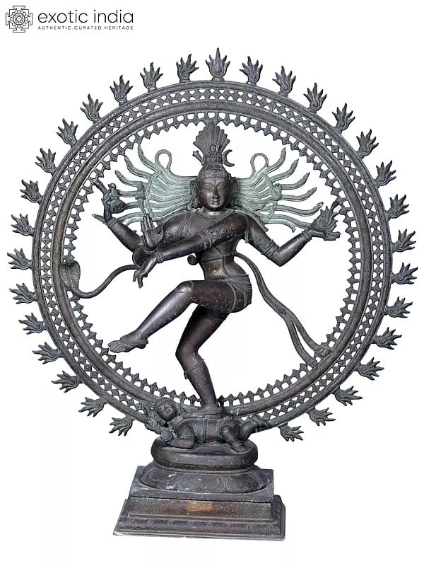 40'' Large Lord Nataraja Statue | Madhuchista Vidhana (Lost-Wax) | Panchaloha Bronze from Swamimalai