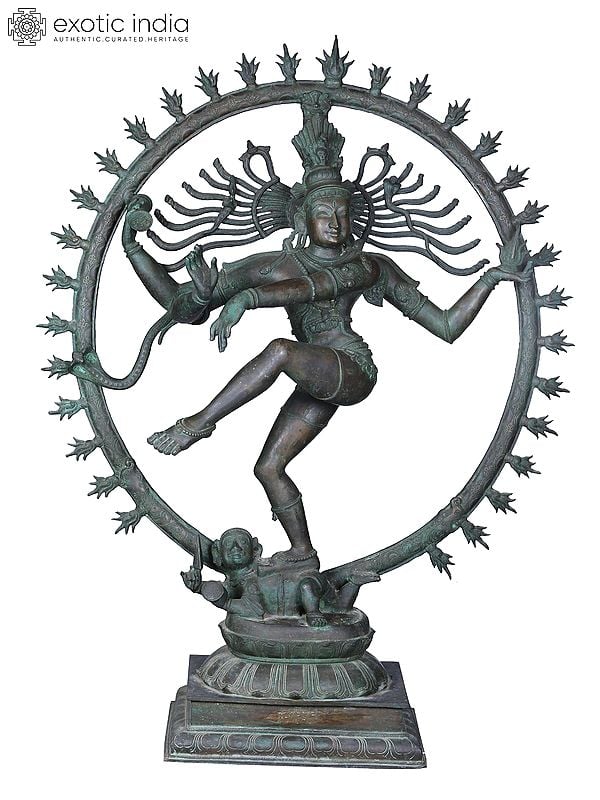 48'' Large Dancing Shiva (Nataraja) Sculpture | Madhuchista Vidhana (Lost-Wax) | Panchaloha Bronze from Swamimalai